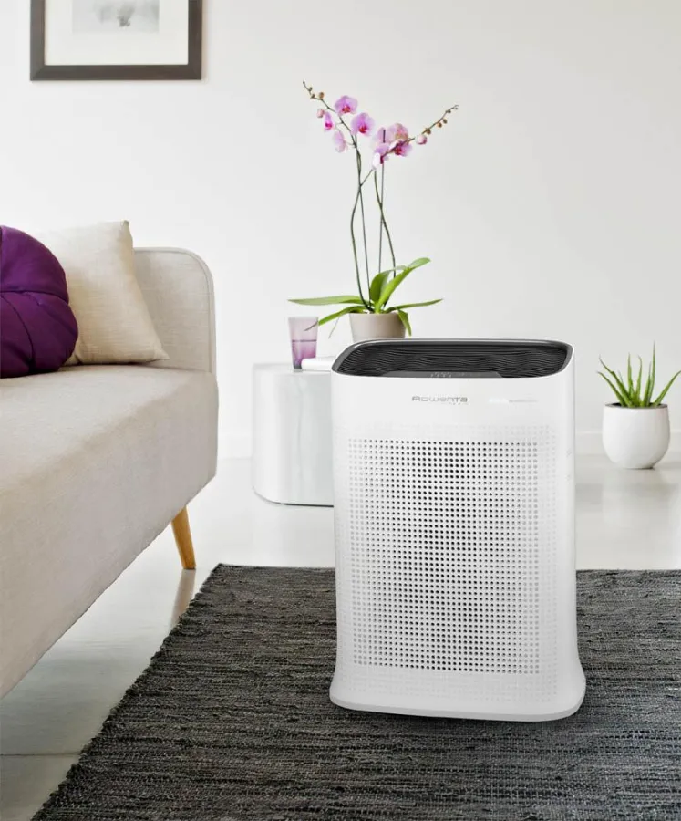 Zuhause frei durchatmen: Der neue Luftreiniger Pure Air von Rowenta (Bildquelle: Groupe SEB)
