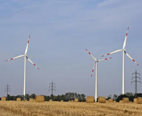 Bild: Ökostrom: So einfach geht der Wechsel