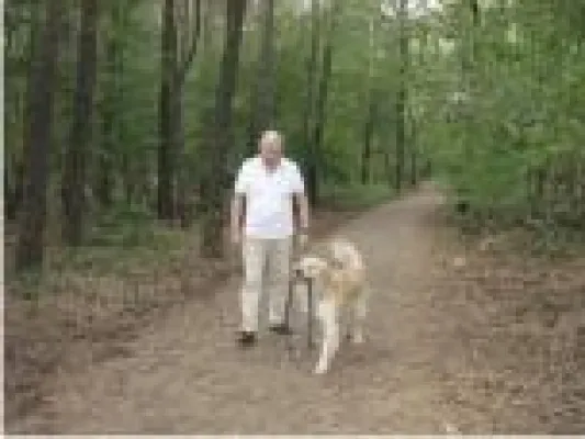 Finanzielle Freiheit für Mensch und Staat - Erneuerbare Zahlungsmittel Bild: Finanzielle Freiheit für Mensch und Staat - Erneuerbare Zahlungsmittel