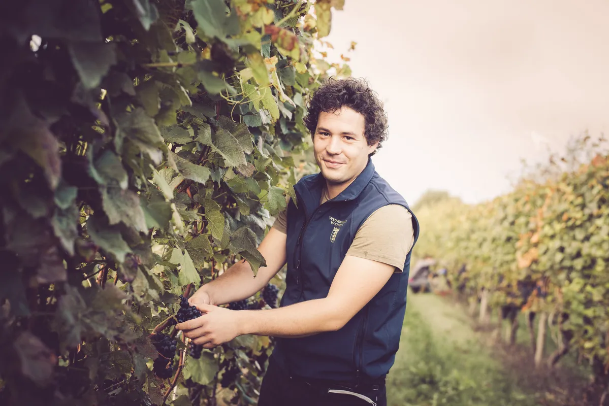 Jungswinzer Clemens Hendriks (© Hendriks Weine)