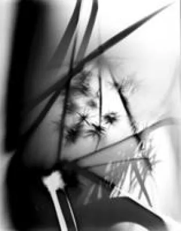 Bild: „Something New Under The Sun“. Vortrag von Tim Otto Roth