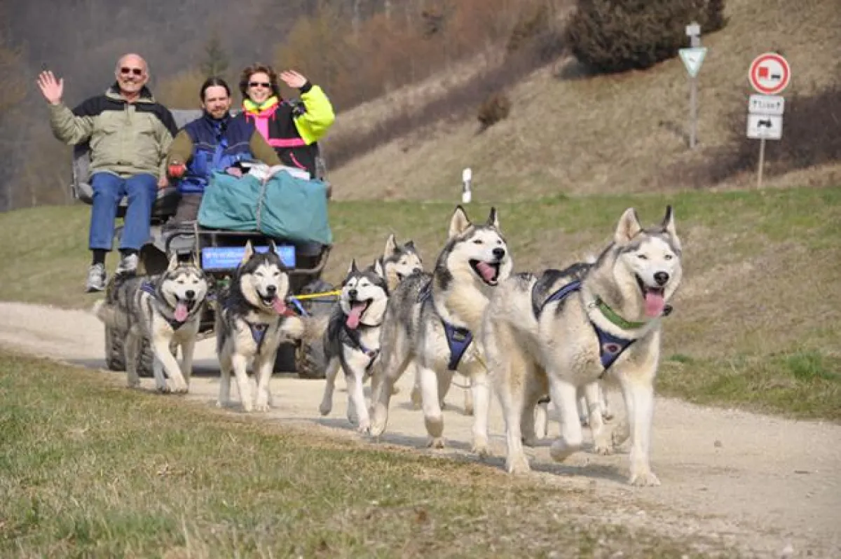 Schlittenhundehof Richter Gespannfahrt