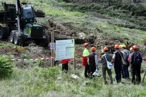 Bild: Fachexkursion der KWF-Tagung 2012 präsentiert 30 moderne Arbeitsverfahren im Praxisbetrieb