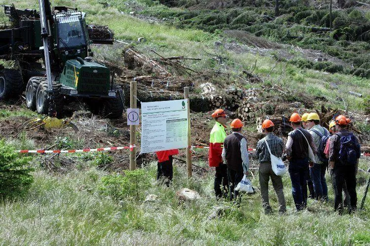 Bild: Fachexkursion der KWF-Tagung 2012 präsentiert 30 moderne Arbeitsverfahren im Praxisbetrieb