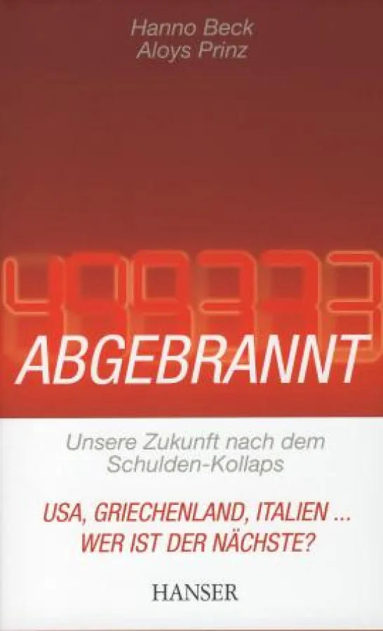 Die renommierten Wirtschaftsprofessoren Beck und Prinz stellen unbequeme Fragen. Abgebrannt, Hanser Verlag 2011