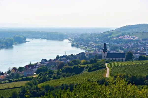 Bild: Rheinhessen genießen: kreative Küche, authentische Produkte und charakterstarke Weine
