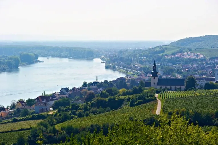 Rheinhessen genießen: kreative Küche, authentische Produkte und charakterstarke Weine Bild: Rheinhessen genießen: kreative Küche, authentische Produkte und charakterstarke Weine