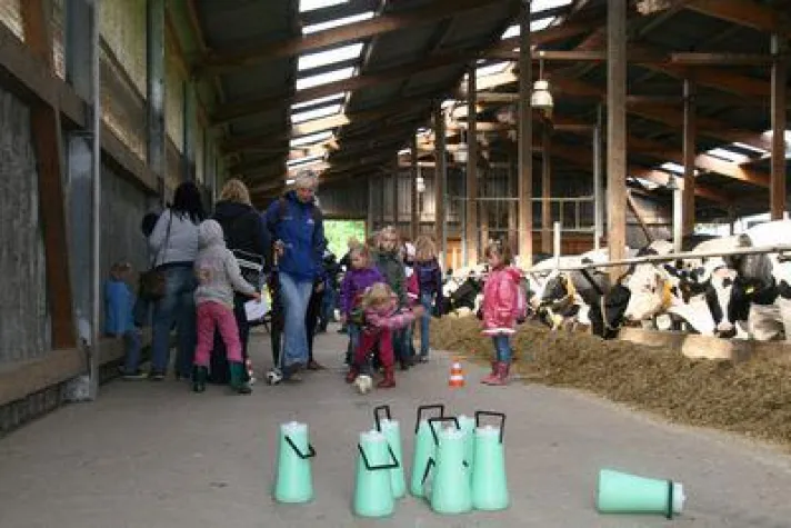 Bild: Stars im Stall