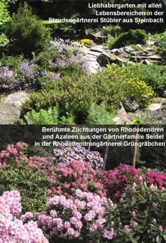 oben: Staudengärtnerei Stübler aus Steinbach; unten Rhododendrongärtner Grüngräbchen