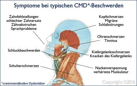 Bild: Zahnheilkunde wird interdisziplinär - GZFA befragt Versicherer in Österreich zur Funktionstherapie