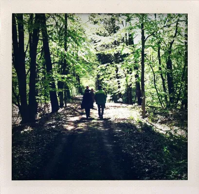 Bild: 1. Döllnsee-Wandertag: Wandern für den guten Zweck