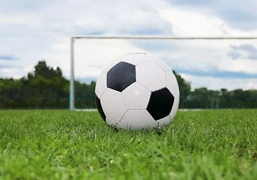 Bild: Beruf und Leidenschaft verbinden: Jobs beim Fußballverband auf HOGAPAGE