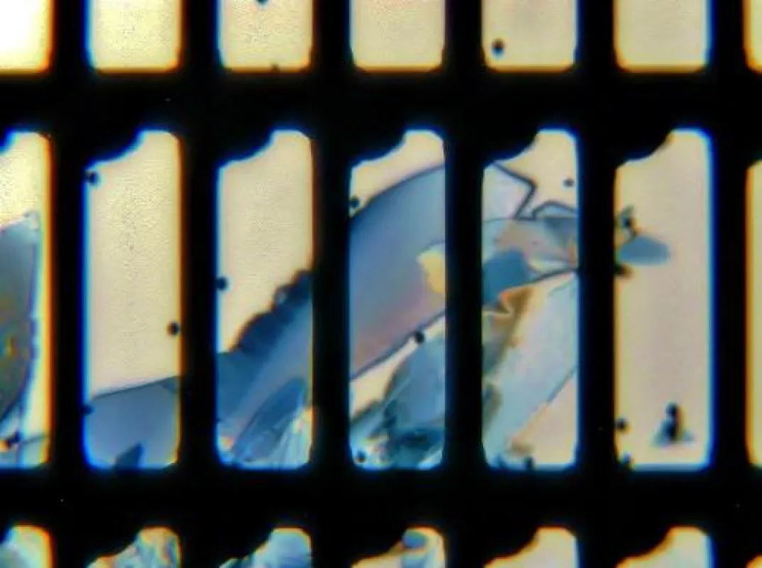 Irreversible Zerstörung von Pixeln eines TFT-Displays nach pixelübergreifender Auskristallisierung