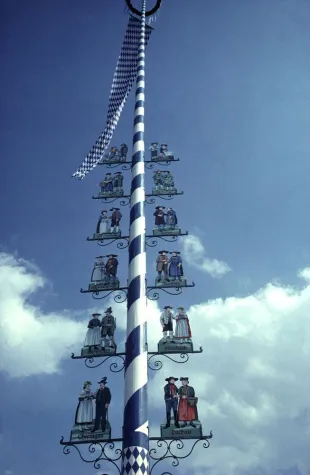 Bild: Ein neuer Maibaum für das Freilichtmuseum Glentleiten