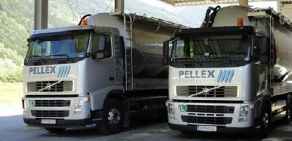 Pellex Bioenergie AG