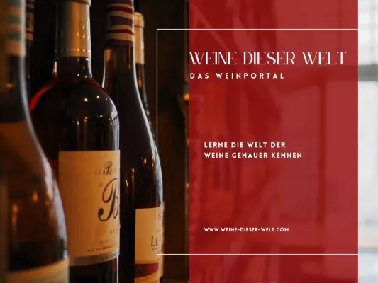 Bild: Weine dieser Welt – Die neue Online-Plattform für Genießer und Entdecker