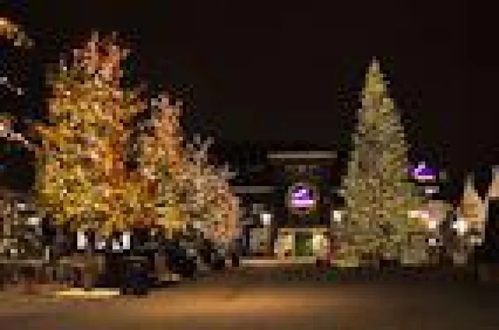 Bild: Entspanntes Weihnachtsshopping im McArthurGlen Designer Outlet Roermond