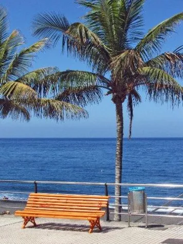 Bild: Reise-Portale – Urlaub im Internet oder im Reisebüro buchen