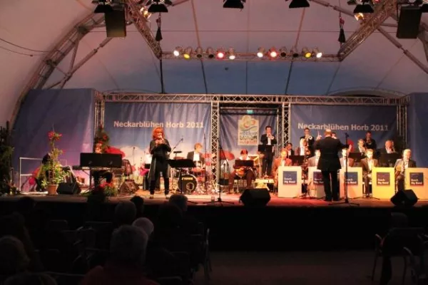 Bild: GEMCO betreut die Bosch Big Band beim Neckarblühen in Horb