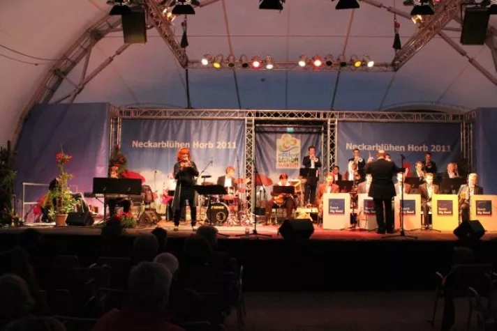 Bild: GEMCO betreut die Bosch Big Band beim Neckarblühen in Horb