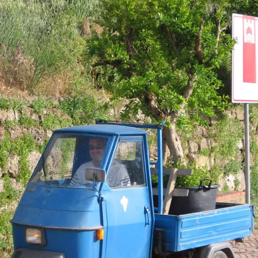 Bild: So gelingt der Umzug mit Gartenpflanzen