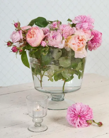 Bild: Alix’ Landhaus – Country Living: Neuer Concept Store im Landhausstil online