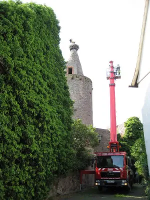 Bild: Arbeitsbühne bringt HGON-Storchenschützer und Kamerateam zum Storchennest auf altem Wehrturm