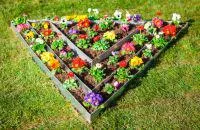 Bild: Gartengestaltung 2019: Erfolgreiche Gartenarbeit mit innovativen Rasenkanten von rasenkantedirekt.de