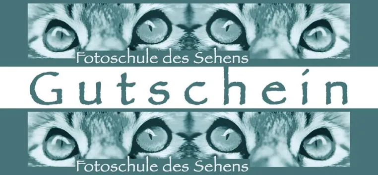 Auch dieses Jahr wieder: Am 01. November startet die Gutschein-plus-kostenfreien-Fotoratgeber-Aktion Bild: Auch dieses Jahr wieder: Am 01. November startet die Gutschein-plus-kostenfreien-Fotoratgeber-Aktion