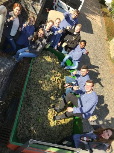 Romantik Hotel Schloss Rheinfels: Dritter Jahrgang von Deutschlands erstem Azubi-Schulweinberg ist im Keller Bild: Romantik Hotel Schloss Rheinfels: Dritter Jahrgang von Deutschlands erstem Azubi-Schulweinberg ist im Keller
