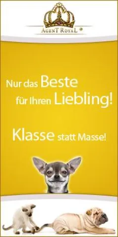 Frischer Wind in der Heimtierbranche Bild: Frischer Wind in der Heimtierbranche