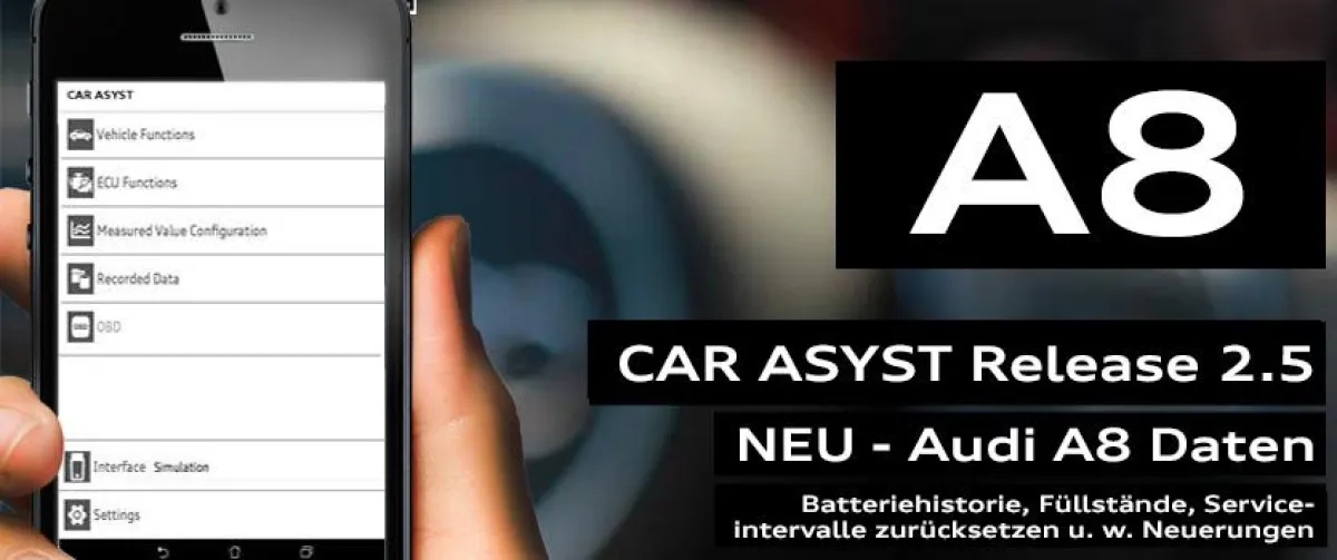 CAR ASYST Release 2.5