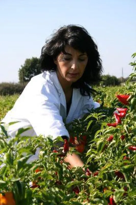 Rita Salvadori bei der Chili-Ernte