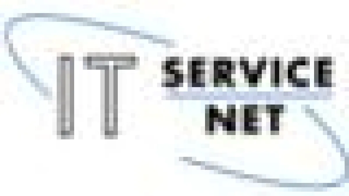 IT-Service-Net