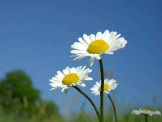 Nachsaison schlägt Hauptsaison –Medical Wellness in Mecklenburg Vorpommern Bild: Nachsaison schlägt Hauptsaison –Medical Wellness in Mecklenburg Vorpommern