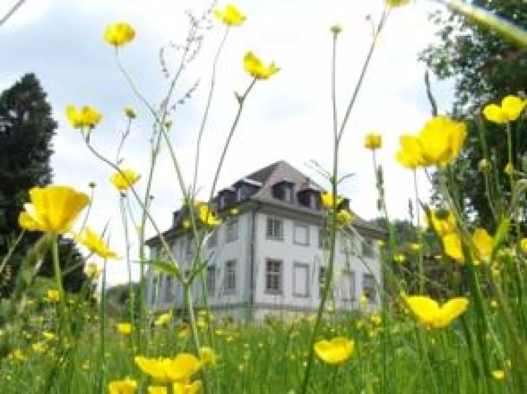 Neues Symposium auf Schloss Glarisegg : mit Dr.med Rüdiger Dahlke, Alexander Wunsch, Alexander Lauterwasser, Orna Ralston und vielen weiteren international bekannten Experten