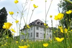 Bild: Vulkanausbruch Island: Bestimmen Schwingungen Unsere Zukunft, Lebensfreude, Gesundheit?