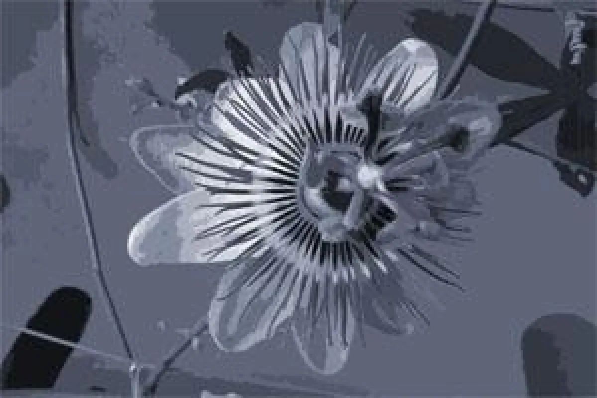 Wunscharbeitgeber werden