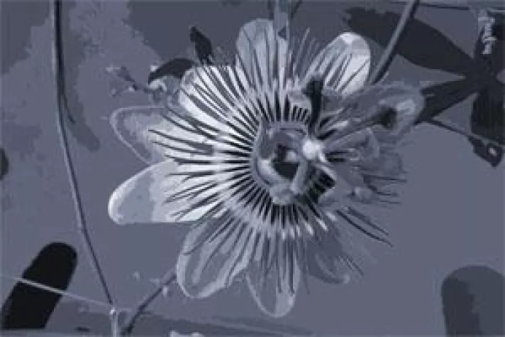 Wunscharbeitgeber werden Bild: Wunscharbeitgeber werden