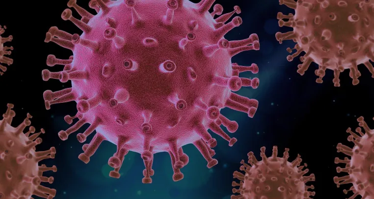 Design-Hacker stellt anlässlich des Corona-Virus ein Portal für „Liefergeschäfte“ bereit Bild: Design-Hacker stellt anlässlich des Corona-Virus ein Portal für „Liefergeschäfte“ bereit