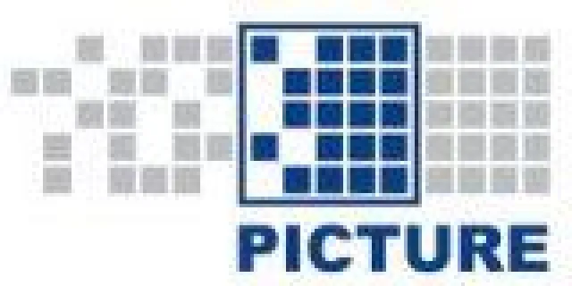 Bild: Picture ermöglicht effiziente Nutzung von IT-Standards