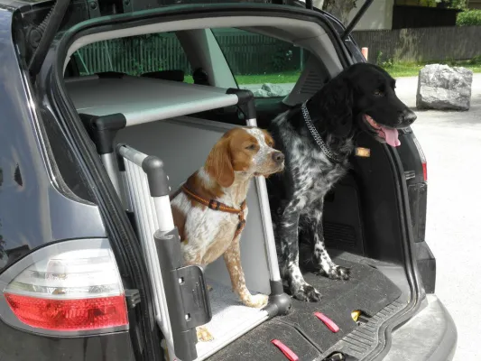 Bild: Appell der Jäger an Hundehalter zum richtigen und artgerechten Umgang mit dem „besten Freund des Menschen“