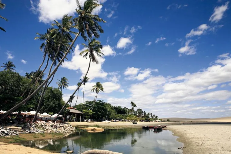 Bild: Träumen unter Palmen - Im Norden Brasiliens lockt einer der schönsten Strände der Welt