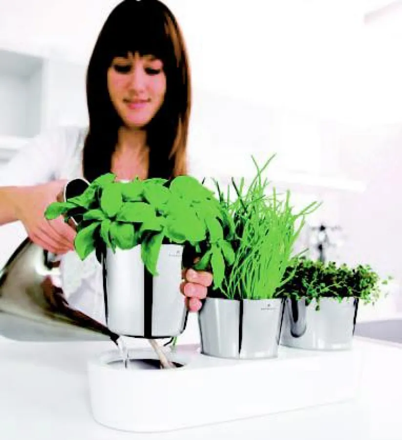 So bleiben die Kräuter immer frisch: Im „Herbs@Home“ mit eigenen Bewässerungssystem. Bilder: tdx/arshabitandi