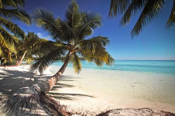 Bild: SIGMA „Our World“-Tour im Monatsrückblick – von Kängurus über die Maoris bis ins Paradies