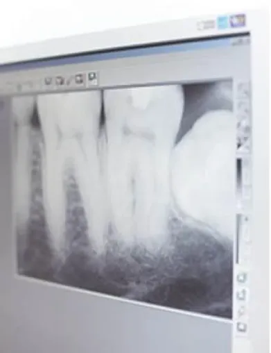 Bild: smilin’’: 3-D-Entdeckungsreise im Gebiss