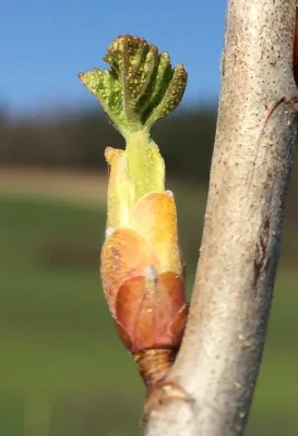 Bild: Sieben wichtige Gemmomittel für den Urlaub