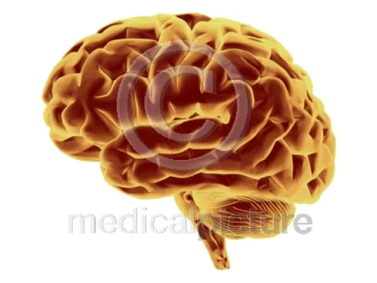 Bild: 100.000-mal Healthcare auf einen Klick – medicalpicture.de