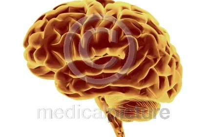 100.000-mal Healthcare auf einen Klick – medicalpicture.de Bild: 100.000-mal Healthcare auf einen Klick – medicalpicture.de
