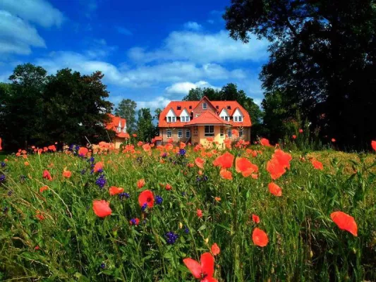 Bild: Pressemitteilung 2008 Bücherhotel- Arrangement "Bücherwurm und Schlossgespenst"